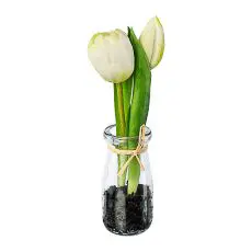 Tulpen in Glasvase in Weiß - 21 (H in cm)