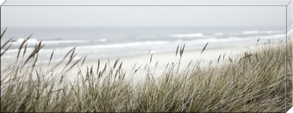 Dünengras - 80x30cm
