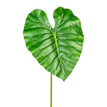 Anthurienblatt in Grün - 36x48 (BxH in cm)